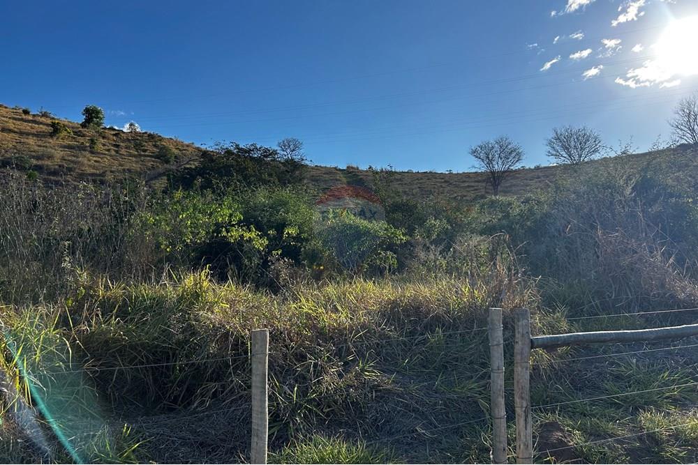 Chácara / Sítio / Fazenda - Venda - Governador Valadares , Minas Gerais - IMG_3017.jpg - 870671001-156