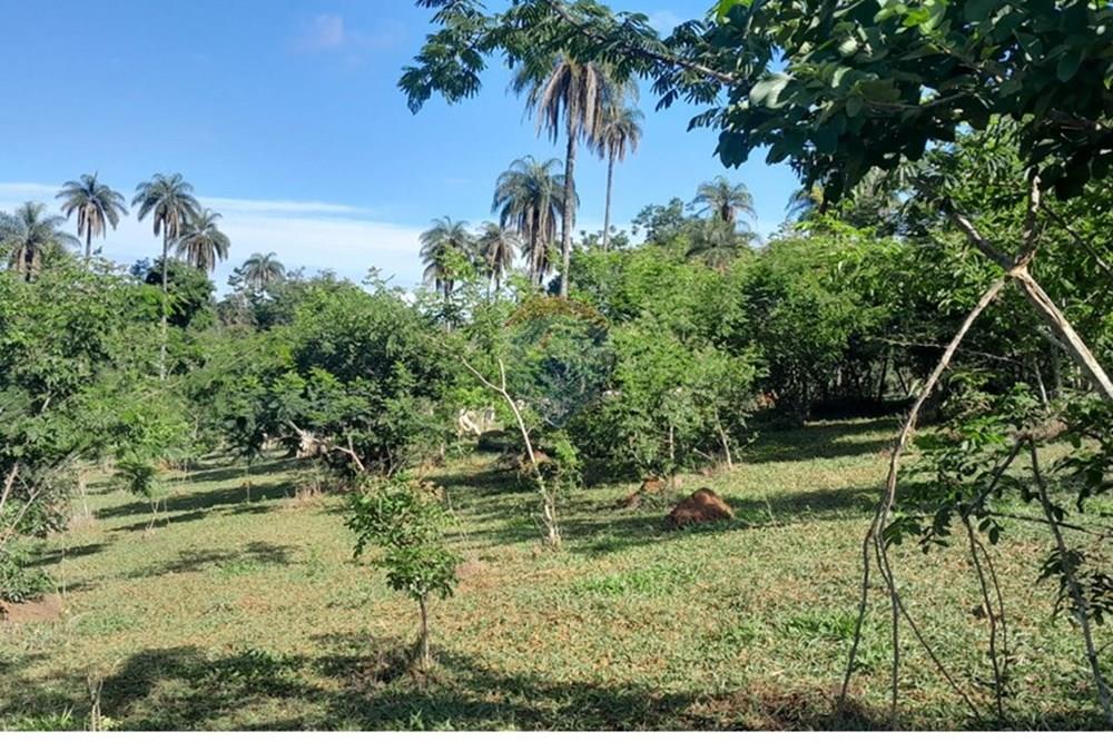 Terreno - Venda - Lagoa Santa , Minas Gerais - FOTO22 FAZENDA .jpg - 870421119-51