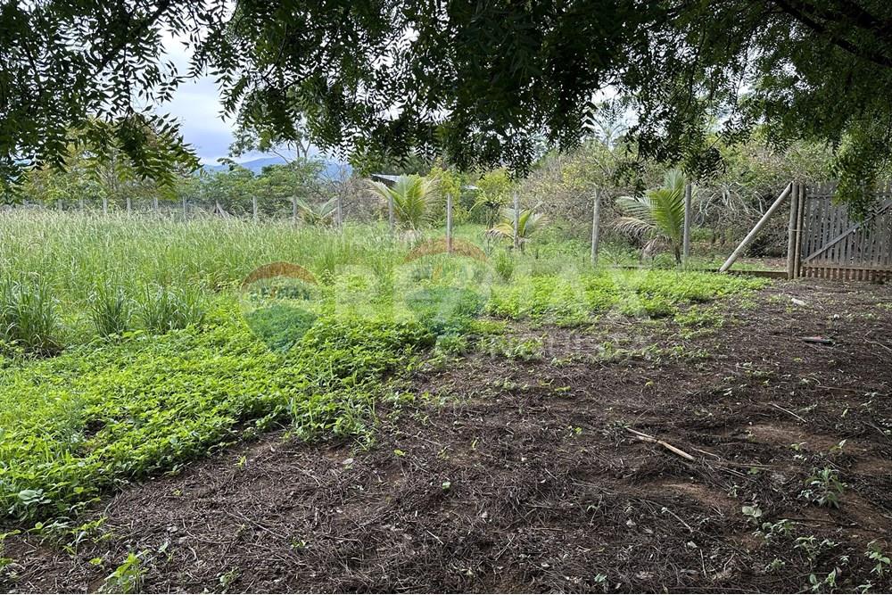 Chácara / Sítio / Fazenda - Venda - Ipanema , Minas Gerais - 2_image_2_watermark_ter._23122025_141301.jpg - 870451001-159