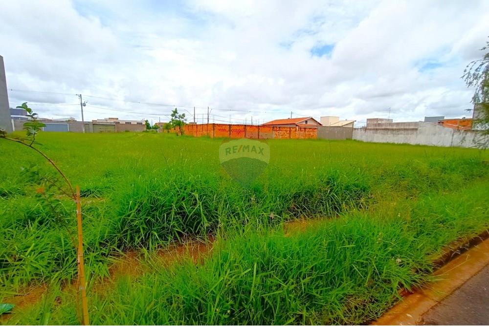 Terreno - Venda - Uberaba , Minas Gerais - 1000188573.jpg - 870291025-76