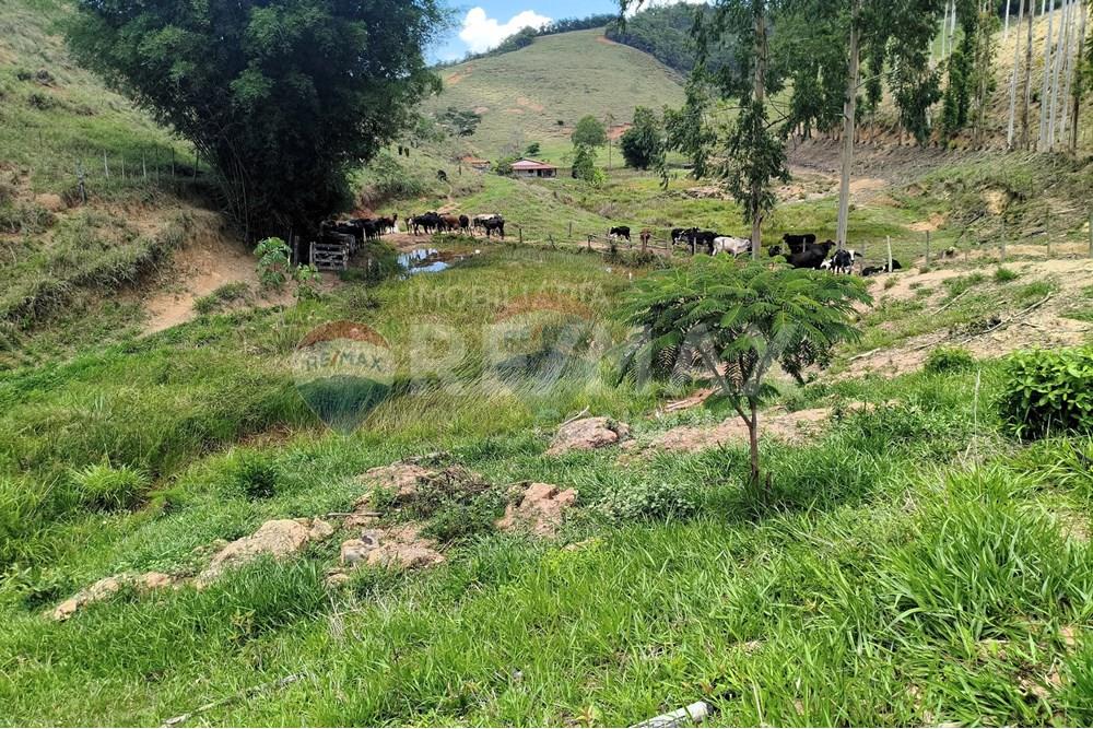 Chácara / Sítio / Fazenda - Venda - Taparuba , Minas Gerais - 5_image_5_watermark_sex._19122025_102131.jpg - 870451001-158