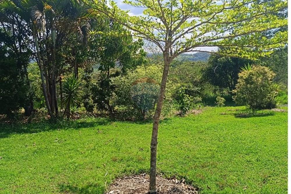 Terreno - Venda - Brumadinho , Minas Gerais - WhatsApp Image 2025-11-20 at 10.06.51.jpeg - 870421014-362