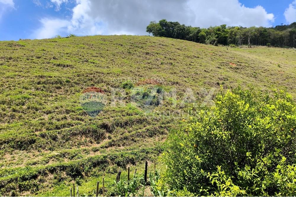 Chácara / Sítio / Fazenda - Venda - Taparuba , Minas Gerais - 4_image_4_watermark_sex._19122025_102211.jpg - 870451001-158