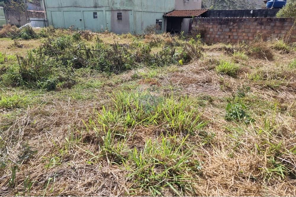 Terreno - Alugar - Nova Lima , Minas Gerais - foto 14.jpeg - 870421084-26