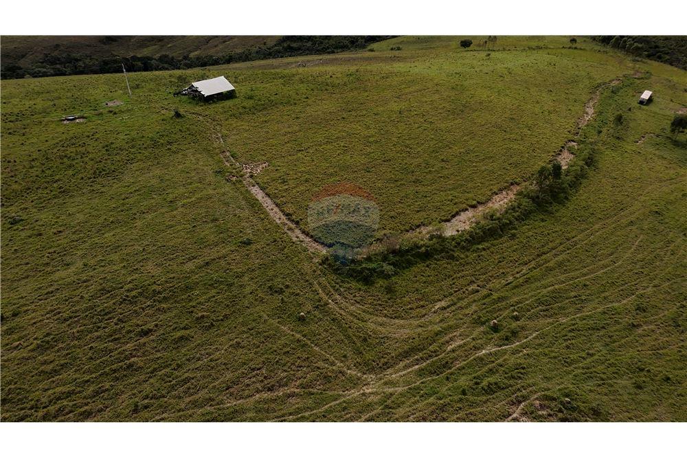 Fazenda - Venda - São Roque de Minas , Minas Gerais - 21 - 870431039-47