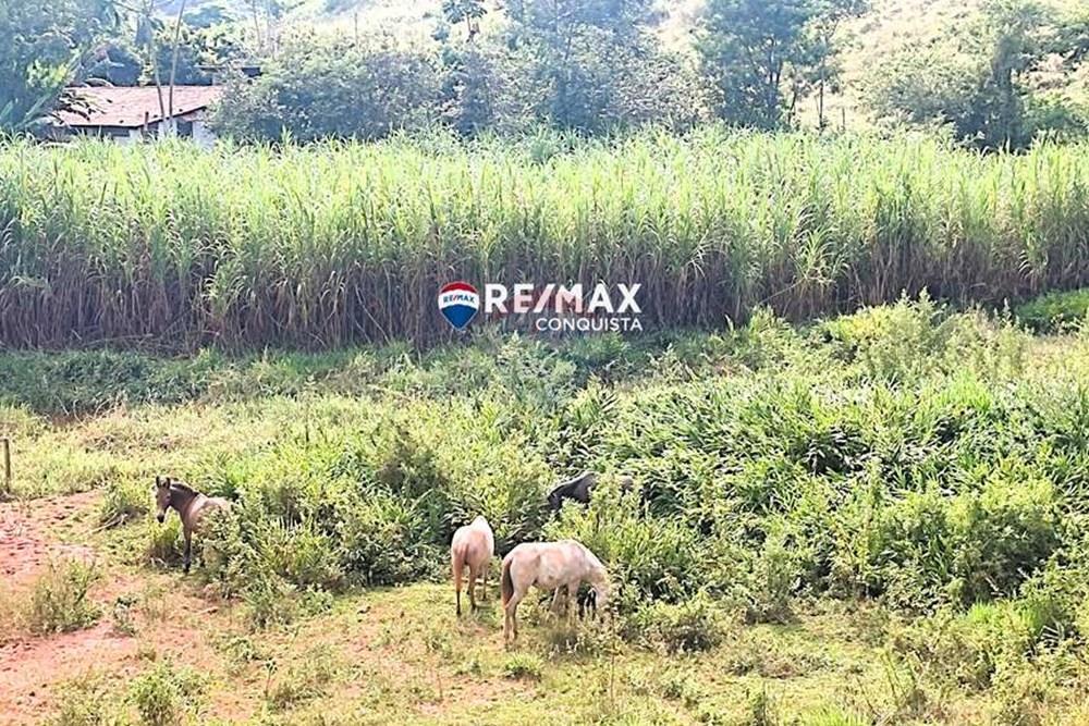 Chácara / Sítio / Fazenda - Venda - Ipanema , Minas Gerais - 6_IMG_20240515_091854_watermark_dom._23062024_100708.jpg - 870451001-121