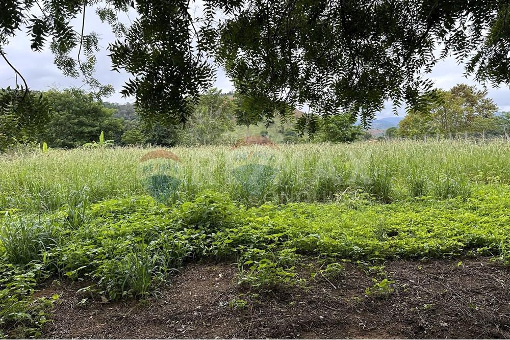 Chácara / Sítio / Fazenda - Venda - Ipanema , Minas Gerais - 4_image_4_watermark_ter._23122025_141227.jpg - 870451001-159