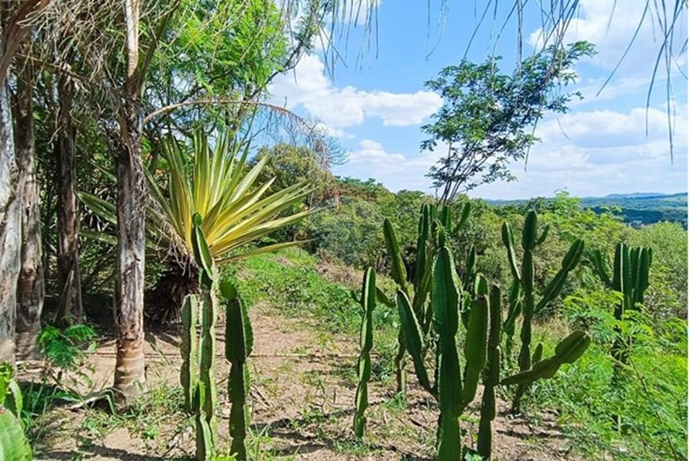 Terreno - Venda - Brumadinho , Minas Gerais - WhatsApp Image 2025-11-20 at 10.07.29.jpeg - 870421014-348