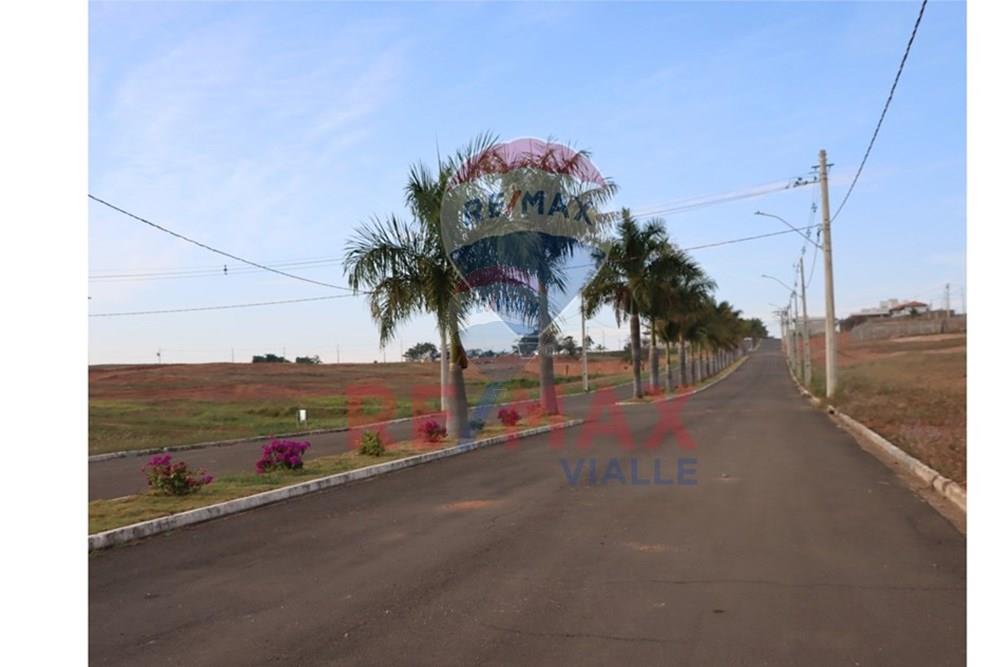 Terreno - Venda - São João Batista do Glória , Minas Gerais - 08e34f9c-9c87-4df9-8696-f35bb99181fd.jpeg - 870731003-16