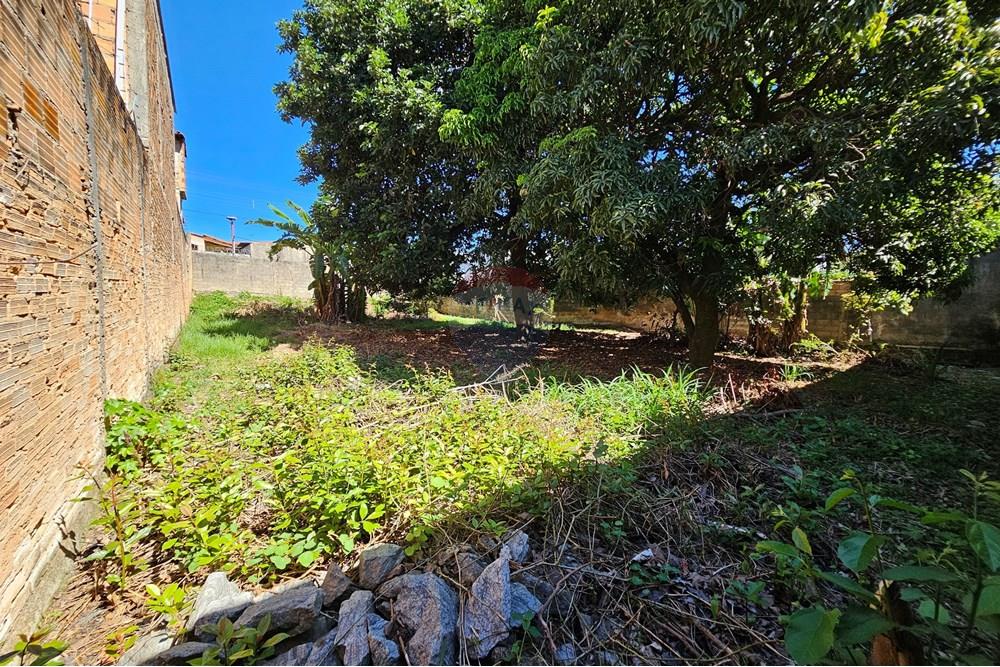 Terreno - Venda - Contagem , Minas Gerais - 20250412_094842.jpg - Fachada - 870411099-17