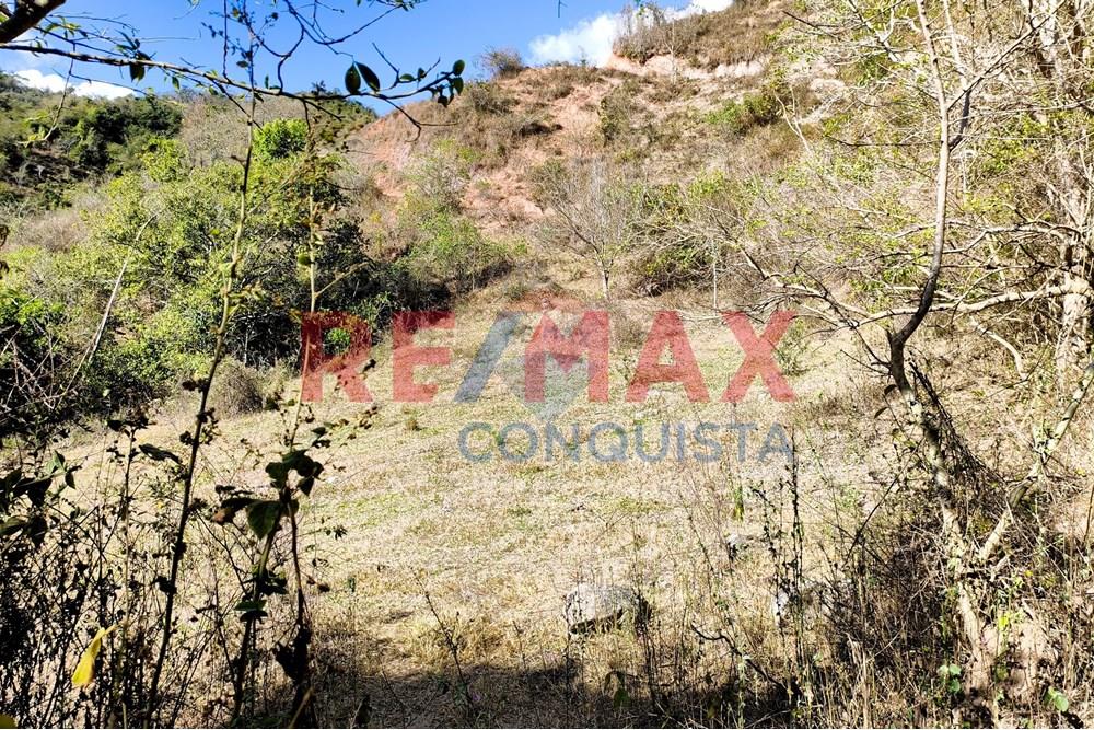 Chácara / Sítio / Fazenda - Venda - Ipanema , Minas Gerais - 4_image_4_watermark_seg._15092025_150520.jpg - 870451013-72