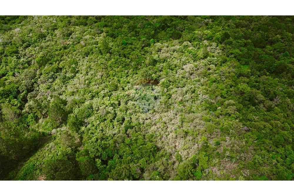 Terreno - Venda - Brumadinho , Minas Gerais - 7.jpg - 870241100-81