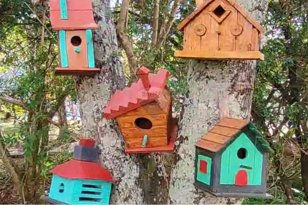 Casa de Condomínio - Venda - Poços de Caldas , Minas Gerais - Screenshot_7.jpg - Jardim Externo - 870361054-5