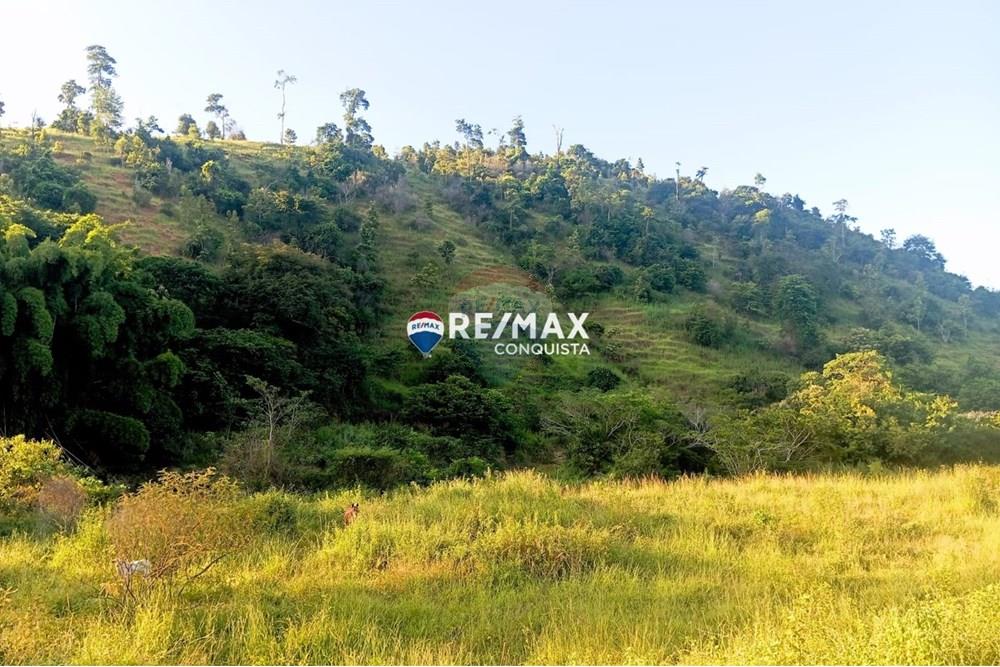 Chácara / Sítio / Fazenda - Venda - Pocrane , Minas Gerais - WhatsApp Image 2025-04-08 at 09.45.11.jpeg - 870451001-124