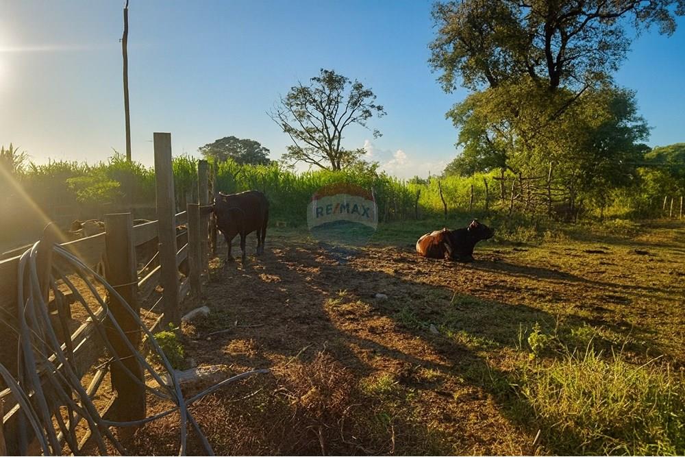 Chácara / Sítio / Fazenda - Venda - Ibirité , Minas Gerais - fc5bc732-fc28-4f55-bb99-3e07b8d70339.jpeg - 870241024-77