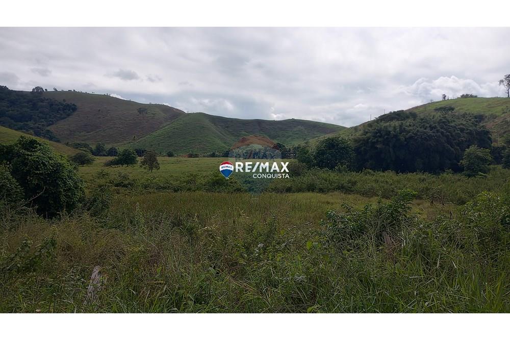 Terreno - Venda - Ipanema , Minas Gerais - 0_image_0_watermark_seg._05052025_142753.jpg - 870451004-98