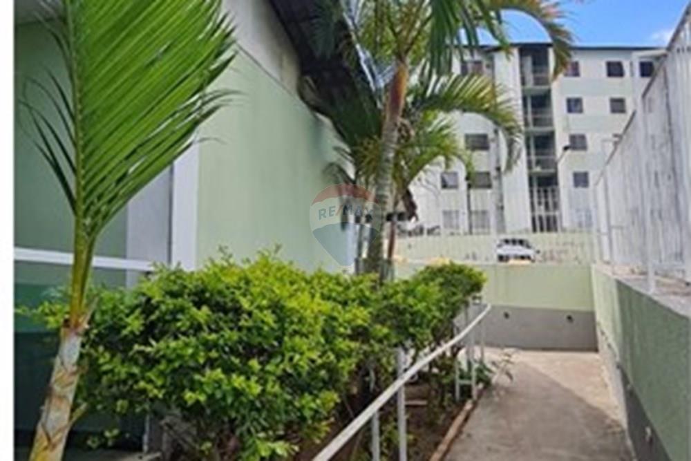 Apartamento - Venda - Belo Horizonte , Minas Gerais - WhatsApp Image 2025-11-24 at 14.22.47.jpeg - 870411117-23