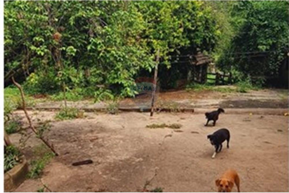 Fazenda - Venda - Pedro Leopoldo , Minas Gerais - WhatsApp Image 2025-12-11 at 15.18.36 (2).jpeg - 870411117-34