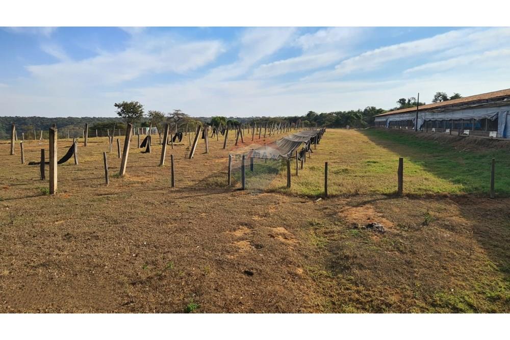 Fazenda - Venda - Uberaba , Minas Gerais - 22 Fazenda Venda R$ 6.500.000 em Uberaba na Remax 870291025-116.jpeg - 870291025-116