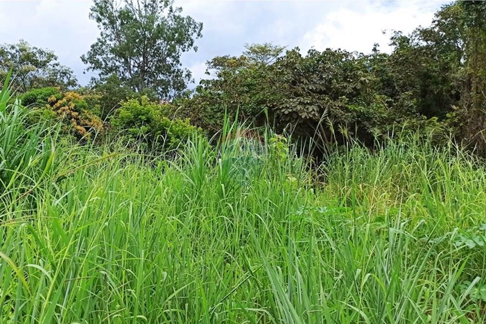 Terreno - Venda - Ibirité , Minas Gerais - 25.jpg - 870421081-3