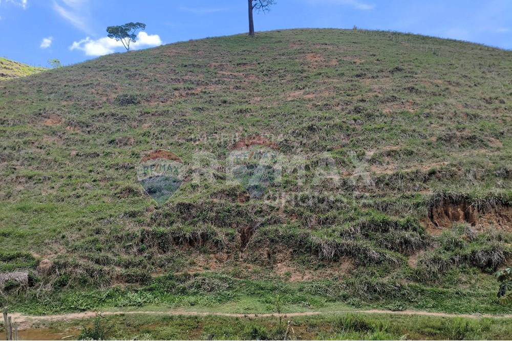 Chácara / Sítio / Fazenda - Venda - Taparuba , Minas Gerais - 4_image_4_watermark_sex._19122025_102131.jpg - 870451001-158