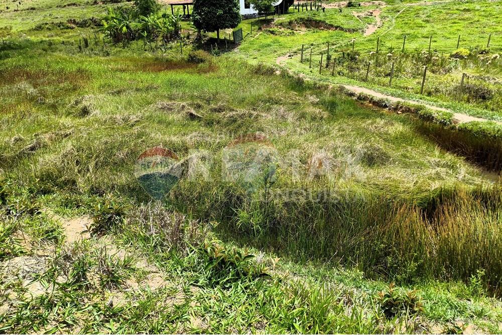 Chácara / Sítio / Fazenda - Venda - Taparuba , Minas Gerais - 0_image_0_watermark_sex._19122025_102305.jpg - 870451001-158