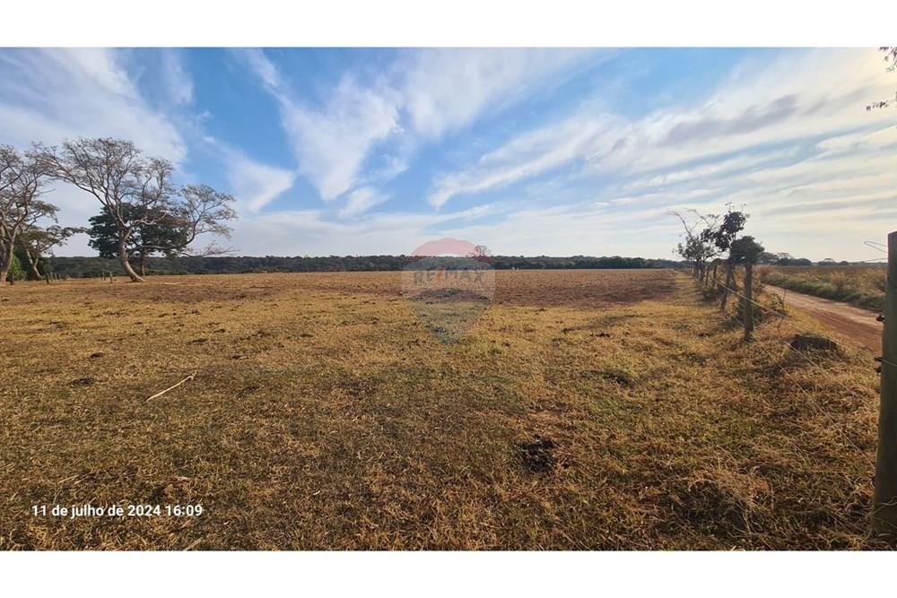 Fazenda - Venda - Uberaba , Minas Gerais - (38).jpeg - 870291025-116