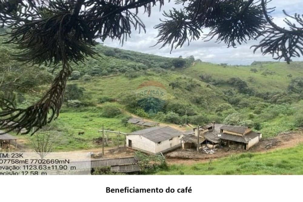 Chácara / Sítio / Fazenda - Venda - Casa Grande , Minas Gerais - foto 7.jpeg - 870411117-20