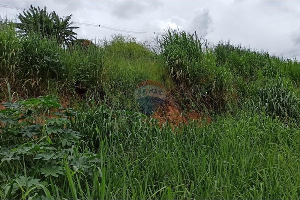 Chácara / Sítio / Fazenda - Venda - Ibirité , Minas Gerais - 10.jpg - 870421081-4