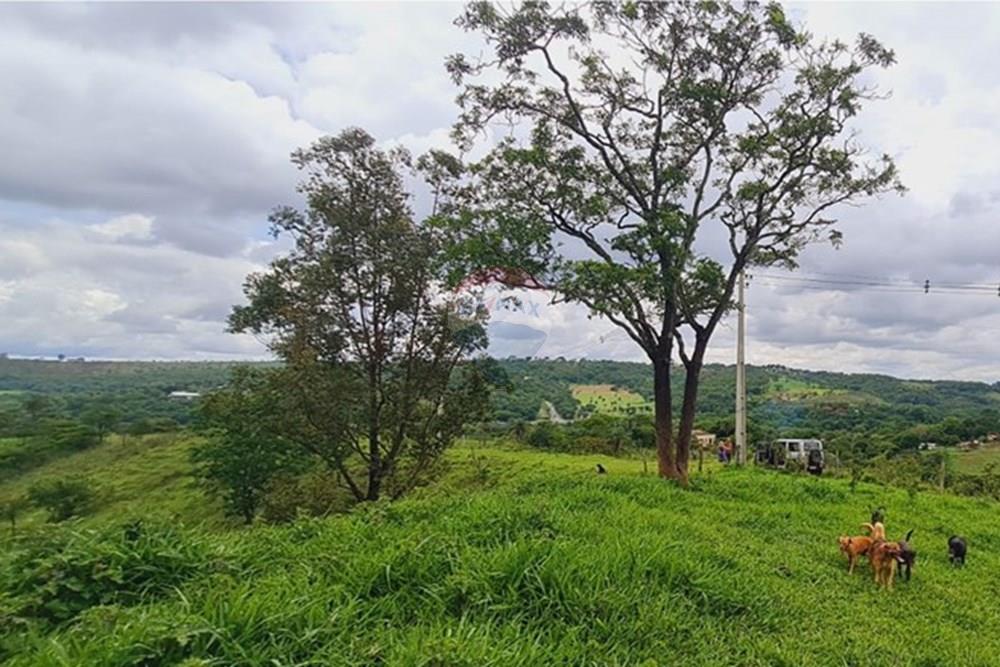 Fazenda - Venda - Pedro Leopoldo , Minas Gerais - WhatsApp Image 2025-12-11 at 15.17.57.jpeg - 870411117-34