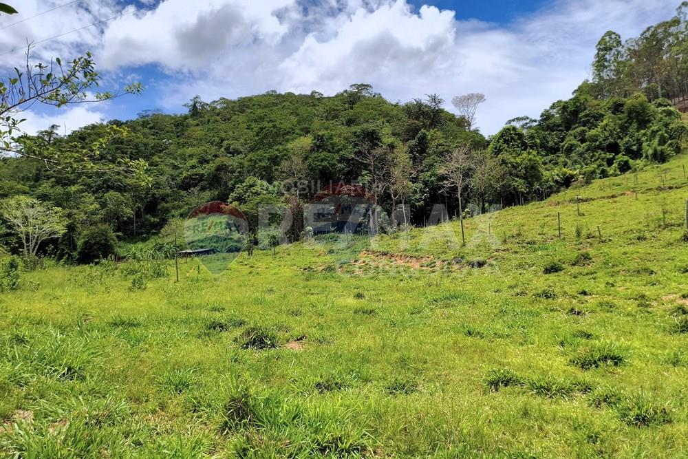 Chácara / Sítio / Fazenda - Venda - Taparuba , Minas Gerais - 3_image_3_watermark_ter._17022026_130520.jpg - 870451001-165