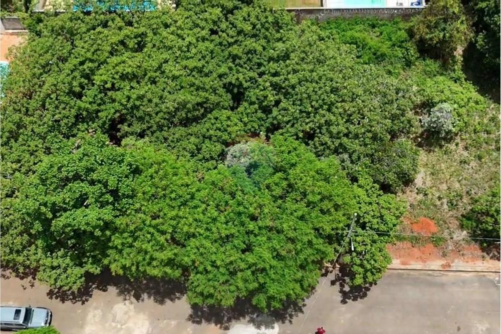 Terreno - Venda - Lagoa Santa , Minas Gerais - frente rua.jpeg - 870761003-23