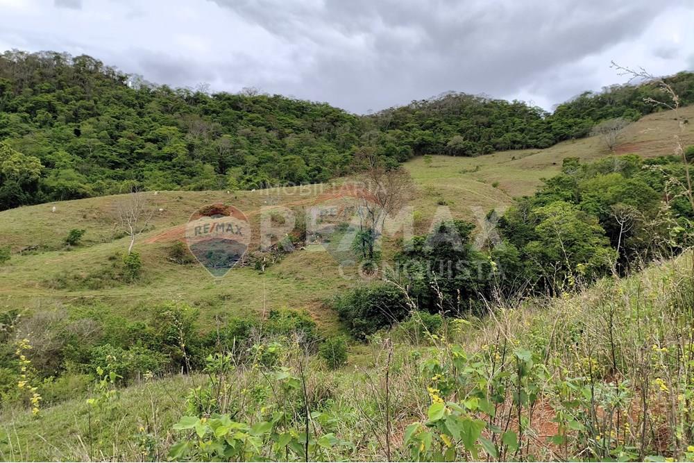 Chácara / Sítio / Fazenda - Venda - Ipanema , Minas Gerais - 7_image_7_watermark_qui._20112025_124247.jpg - 870451013-80