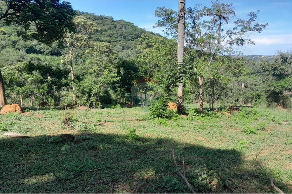 Terreno - Venda - Lagoa Santa , Minas Gerais - FOTO15 FAZENDA .jpg - Loft - 870421119-51