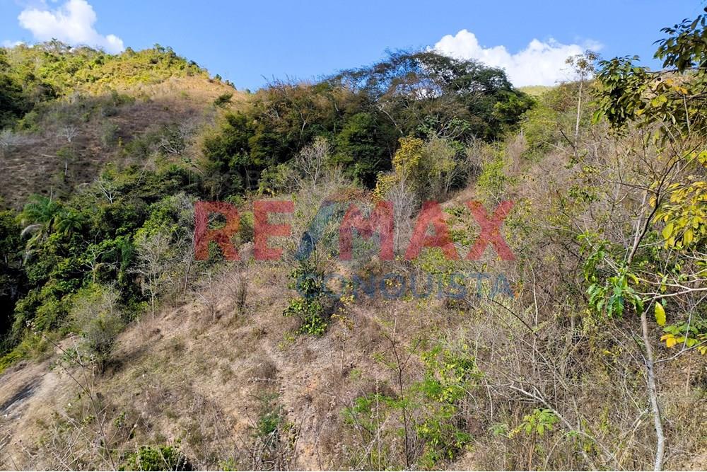 Chácara / Sítio / Fazenda - Venda - Ipanema , Minas Gerais - 6_image_6_watermark_seg._15092025_150521.jpg - 870451013-72