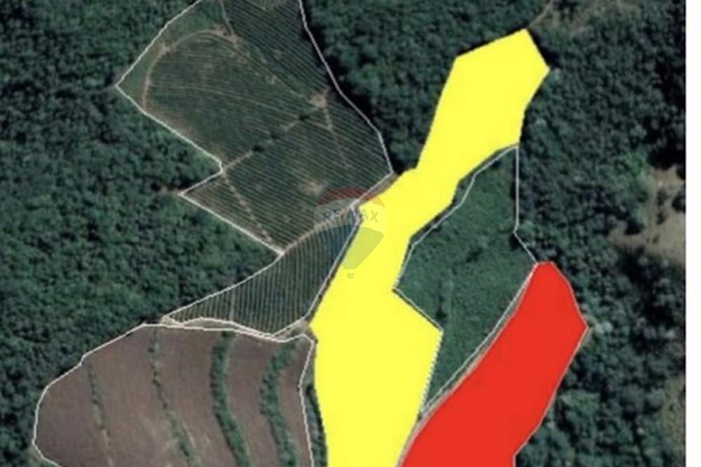 Chácara / Sítio / Fazenda - Venda - Casa Grande , Minas Gerais - foto 6.jpeg - 870411117-20