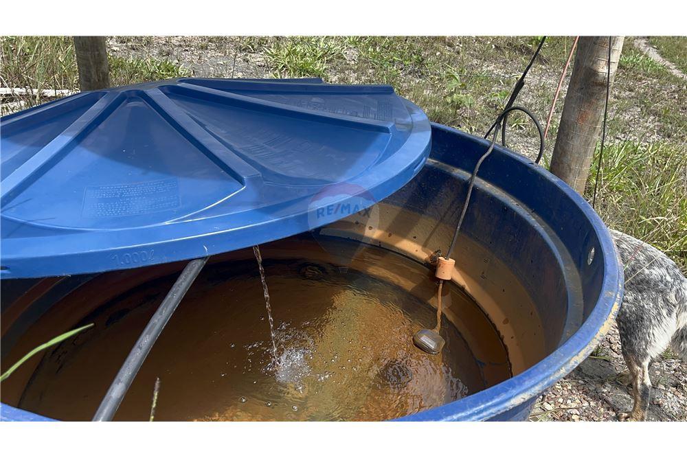 Fazenda - Venda - São Roque de Minas , Minas Gerais - 22 - 870431039-47