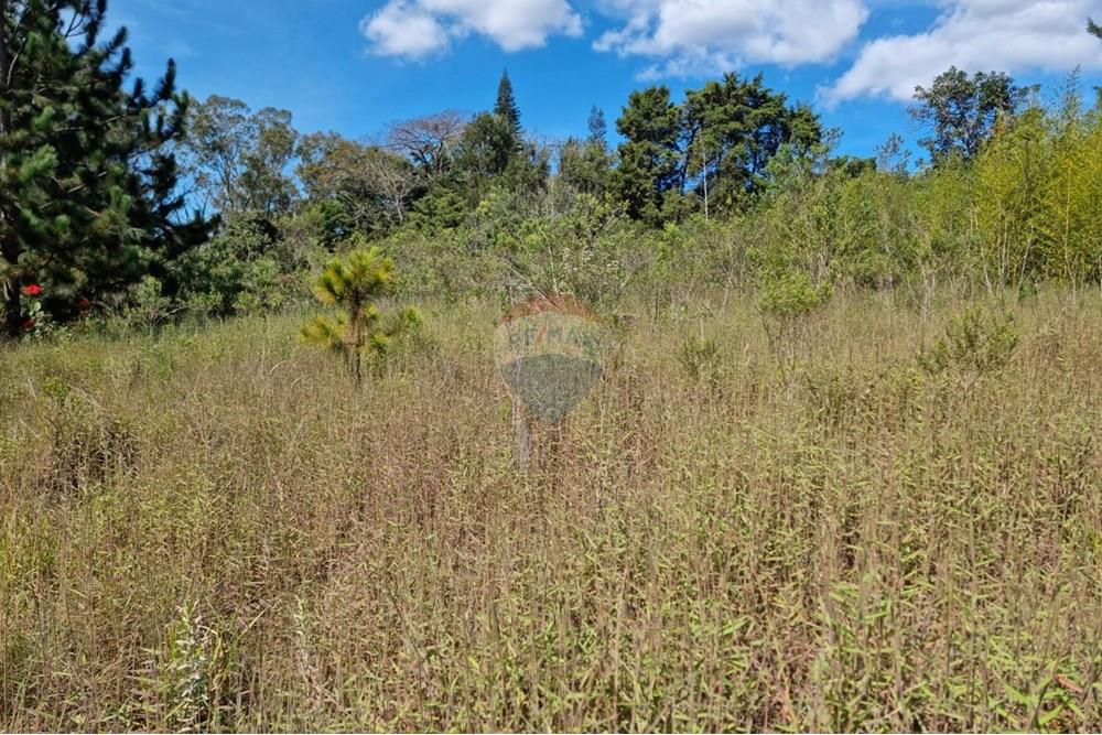 Terreno - Venda - Nova Lima , Minas Gerais - 20.jpeg - 870421084-16