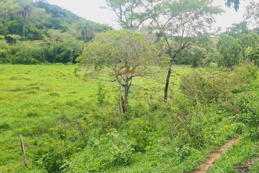 Fazenda - Venda - Pedro Leopoldo , Minas Gerais - WhatsApp Image 2025-12-11 at 15.20.33 (3).jpeg - 870411117-34