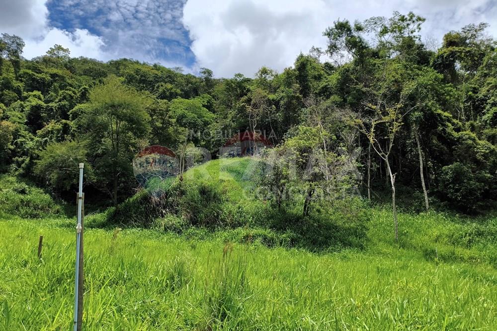 Chácara / Sítio / Fazenda - Venda - Taparuba , Minas Gerais - 6_image_6_watermark_ter._17022026_130645.jpg - 870451001-165