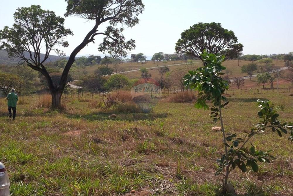 Terreno - Venda - Jaboticatubas , Minas Gerais - WhatsApp Image 2026-03-16 at 15.40.19.jpeg - 870411117-46