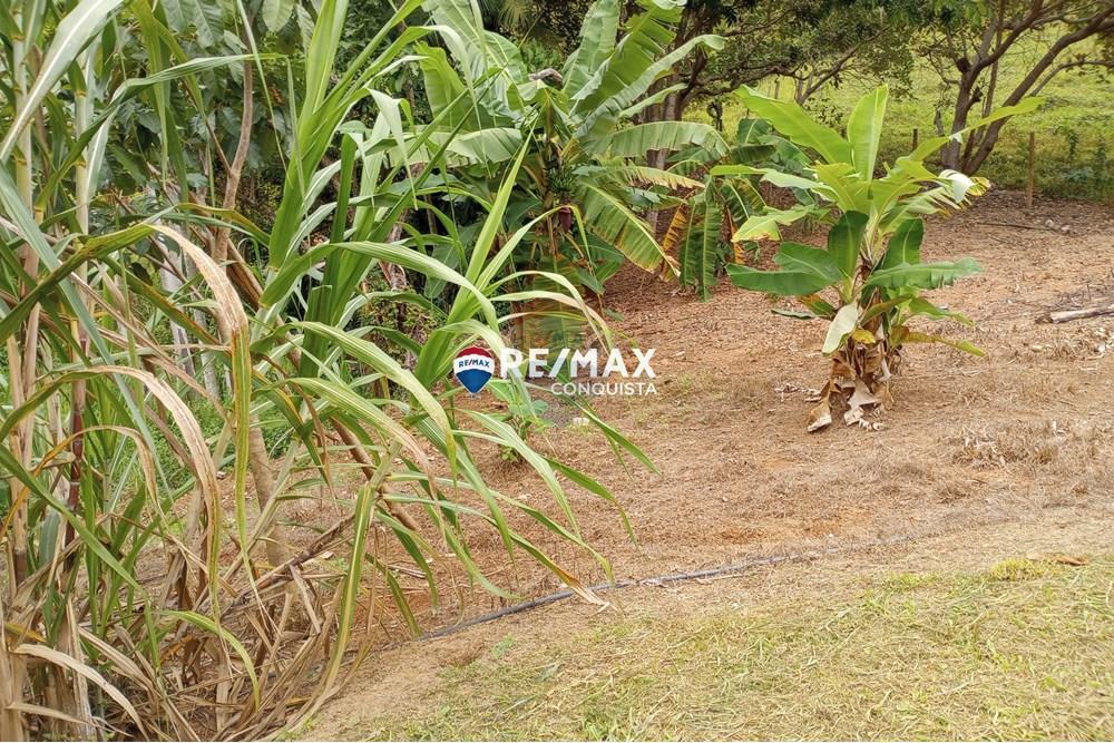 Chácara / Sítio / Fazenda - Venda - Ipanema , Minas Gerais - 9_image_9_watermark_seg._12052025_100558.jpg - 870451004-100