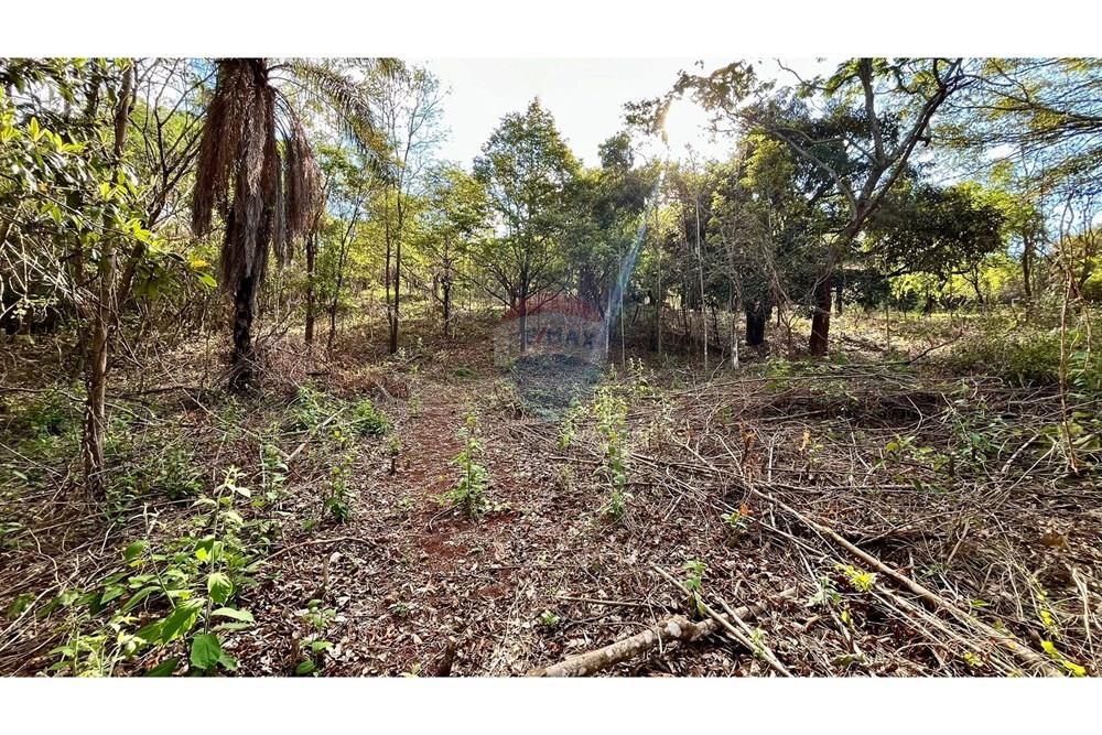 Chácara / Sítio / Fazenda - Venda - Nova Lima , Minas Gerais - WhatsApp Image 2025-10-23 at 11.25.22.jpeg - 870351032-22