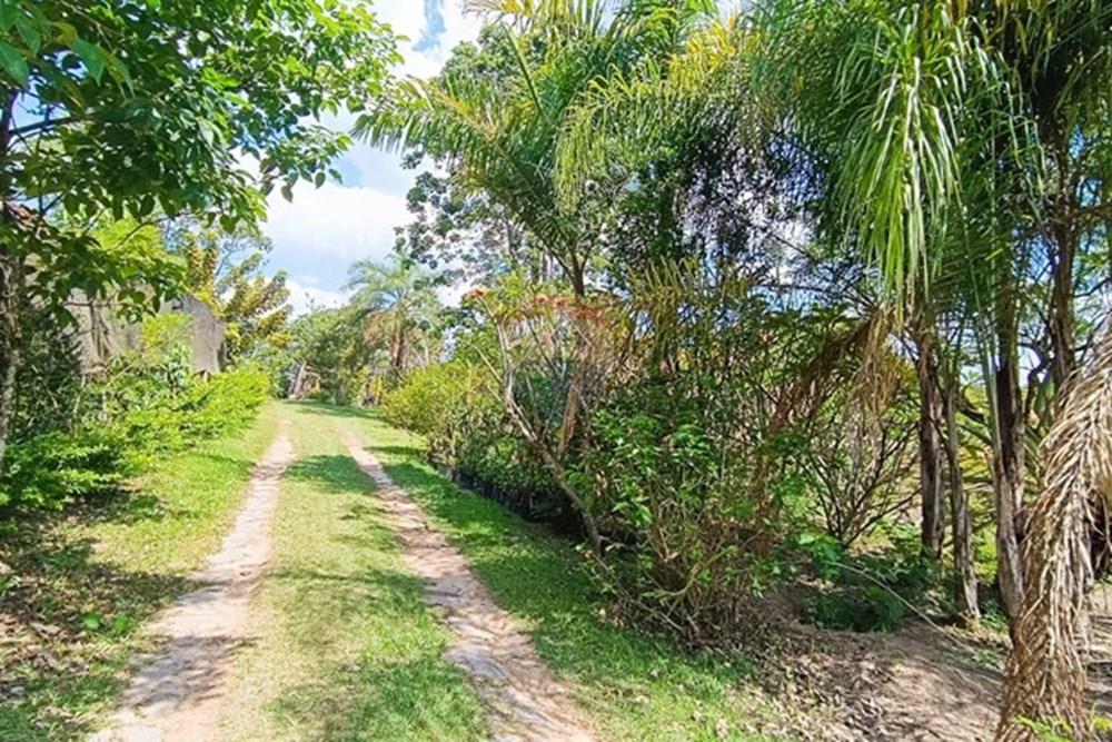 Terreno - Venda - Brumadinho , Minas Gerais - WhatsApp Image 2025-11-20 at 10.07.28 (2).jpeg - 870421014-348