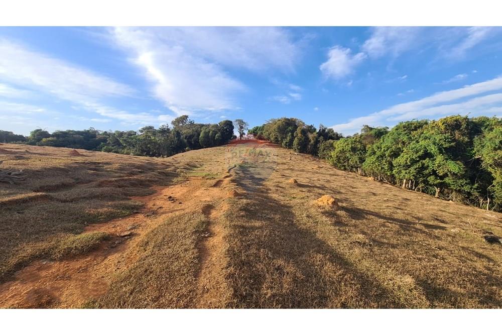 Chácara / Sítio / Fazenda - Venda - Uberaba , Minas Gerais - 31 Fazenda Venda R$ 6.500.000 em Uberaba na Remax 870291025-115.jpeg - 870291025-115