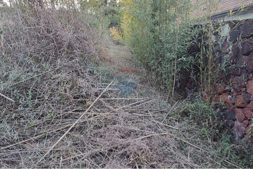 Terreno - Venda - Nova Lima , Minas Gerais - Foto 13.jpg - 870421084-16