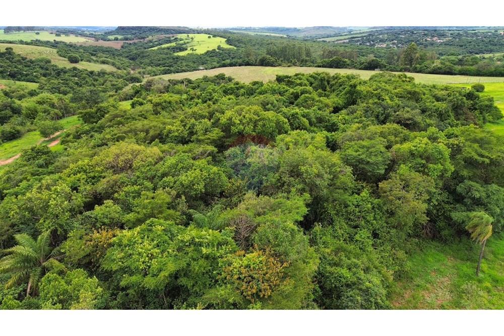 Chácara / Sítio / Fazenda - Venda - São Sebastião do Paraíso , Minas Gerais - SITIO ROMULO BICEGO (12).jpeg - 870811007-131