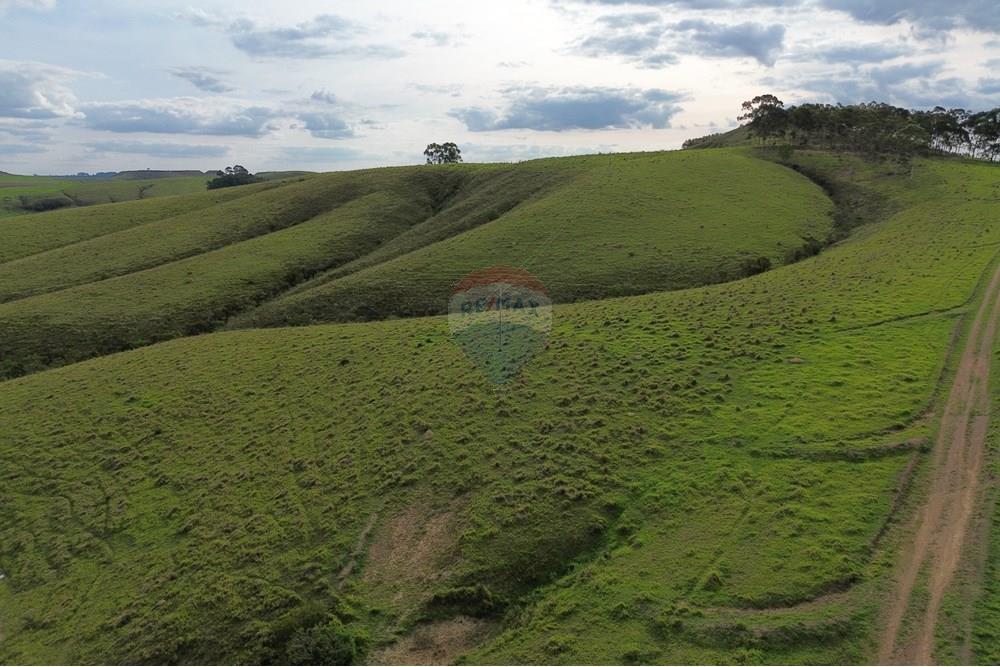 Fazenda - Venda - Araxá , Minas Gerais - 06.JPG - 870431045-55