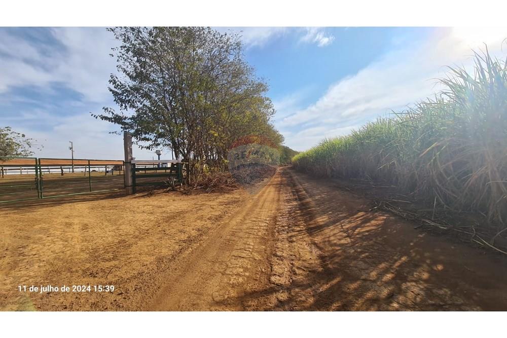 Chácara / Sítio / Fazenda - Venda - Uberaba , Minas Gerais -  (28).jpeg - 870291025-115