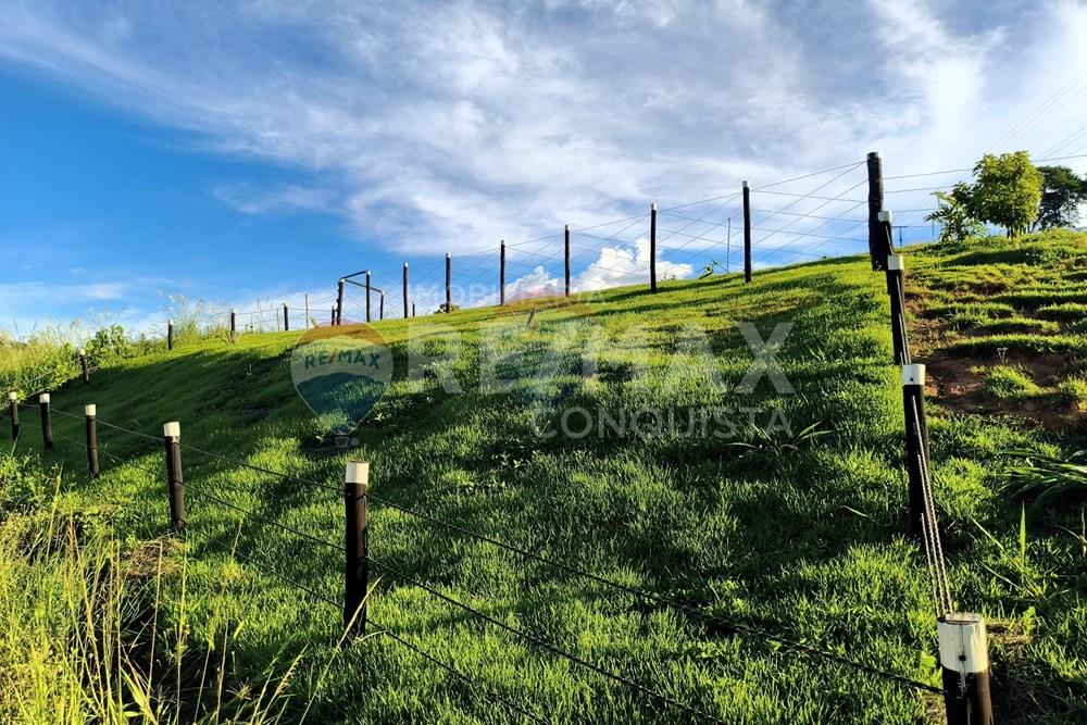 Chácara / Sítio / Fazenda - Venda - Conceição de Ipanema , Minas Gerais - 3_image_3_watermark_dom._11012026_131609.jpg - 870451004-113